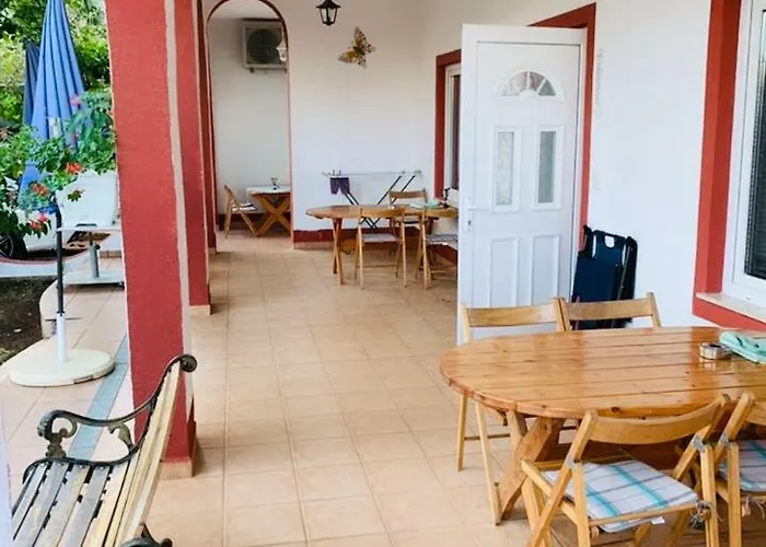 Nina Цриквеница